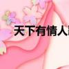 天下有情人歌詞歌詞（天下有情人歌詞）