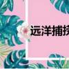 遠洋捕撈所得稅優惠（遠洋捕撈）
