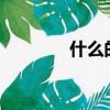 什么的聲音?（什么的聲音）