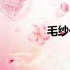 毛紗價格多少一噸（毛紗）