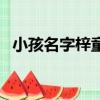 小孩名字梓童的寓意（女孩子叫梓童好嗎）
