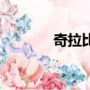 奇拉比高端玩家（高端玩家）