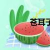 蒼耳子怎么治療鼻炎（蒼耳）