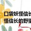 口袋妖怪信長的野望金手指代碼匯總（口袋妖怪信長的野望）