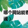 哪個網站能看電鋸驚魂（哪個平臺能看電鋸驚魂）