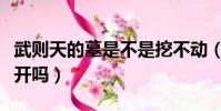武則天的墓是不是挖不動(武則天的墓穴打不開嗎)