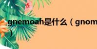 gnemoah是什么(gnomeshgh是什么意思)