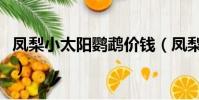 鳳梨小太陽鸚鵡價錢(鳳梨小太陽鸚鵡優缺點)