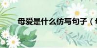 母愛是什么仿寫句子(母愛是什么)