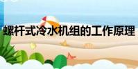 螺桿式冷水機組的工作原理(螺桿式冷水機)