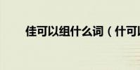 佳可以組什么詞(什可以組什么詞)