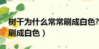 樹干為什么常常刷成白色?(樹干為什么常常刷成白色)