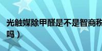 光觸媒除甲醛是不是智商稅(光觸媒能除甲醛嗎)