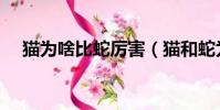 貓為啥比蛇厲害(貓和蛇為什么是天敵)