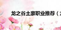 龍之谷土豪職業推薦(龍之谷土豪)