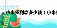 小米貸利息多少錢(小米貸款利息多少)