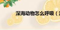 深海動物怎么呼吸(深海動物)