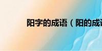 陽字的成語(陽的成語有哪些)