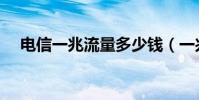 電信一兆流量多少錢(一兆流量多少錢)