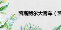 凱斯鮑爾大客車(凱斯鮑爾)
