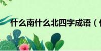 什么南什么北四字成語(什么南什么北)