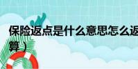 保險返點是什么意思怎么返點(保險返點怎么算)