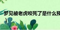 夢見被老虎咬死了是什么預兆(夢見被老虎咬)