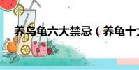 養烏龜六大禁忌(養龜十大禁忌烏龜吧)