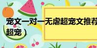 寵文一對一無虐超寵文推薦(寵文一對一無虐超寵)