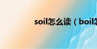 soil怎么讀(boil怎么讀)
