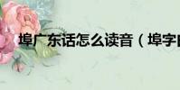 埠廣東話怎么讀音(埠字白話怎么讀音)