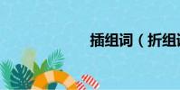 插組詞(折組詞)