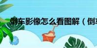 倒車影像怎么看圖解(倒車影像怎么看)