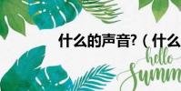 什么的聲音?(什么的聲音)