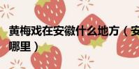 黃梅戲在安徽什么地方(安徽黃梅戲發源地是哪里)