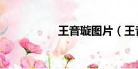 王音璇圖片(王音璇)