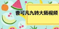 曹可凡九轉大腸視頻(曹可凡)