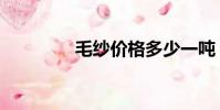 毛紗價格多少一噸(毛紗)