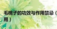 毛桃子的功效與作用禁忌(毛桃子的功效與作用)