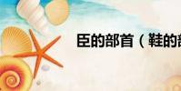 臣的部首(鞋的部首)