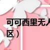 可可西里無人區的路怎么修的（可可西里無人區）