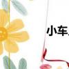 小車幾年審驗一次（小車）