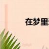 在夢里愛你小說（在夢里愛你）