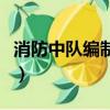 消防中隊編制多少人員（消防中隊編制多少人）