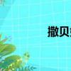 撒貝娜結婚了嗎（撒貝娜）