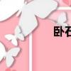 臥石的成語（臥的成語）