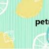 petmac口紅（petmac）