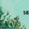 58同城招聘（85同城）