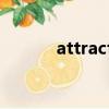 attraction景點（attraction）