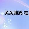 關關雎鳩 在河之洲 窈窕淑女（關關雉鳩）